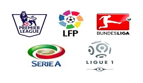 他们不仅以 他们不仅以